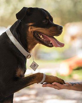 "BW Squary" Collar & Bracelet - ArgusCollar