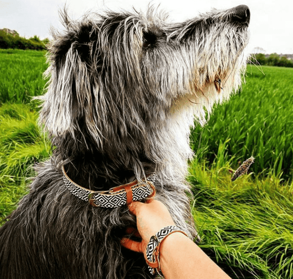 "BW Squary" Collar & Bracelet - ArgusCollar