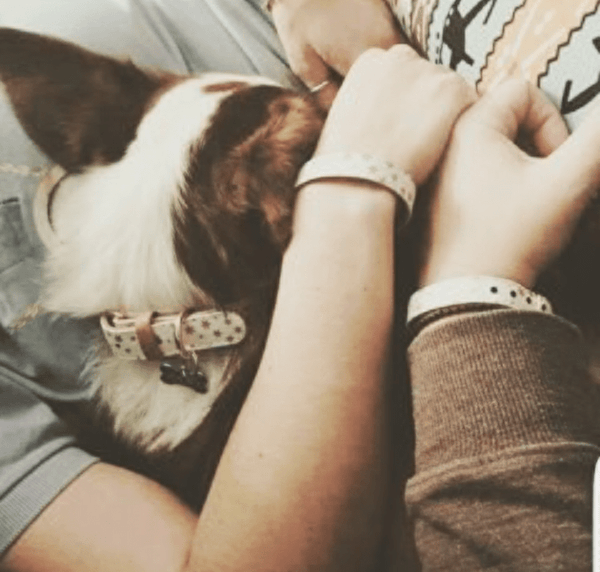 "Fairytale" Collar & Bracelet - ArgusCollar