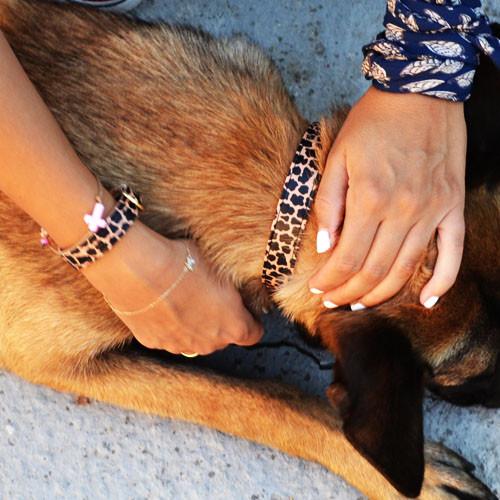 "Jungle" Collar & Bracelet - ArgusCollar