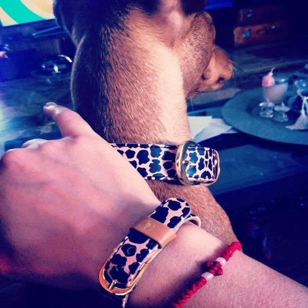"Jungle" Collar & Bracelet - ArgusCollar