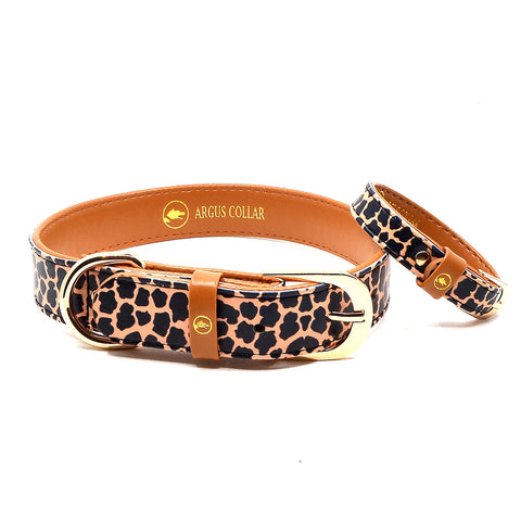 "Jungle" Collar & Bracelet - ArgusCollar