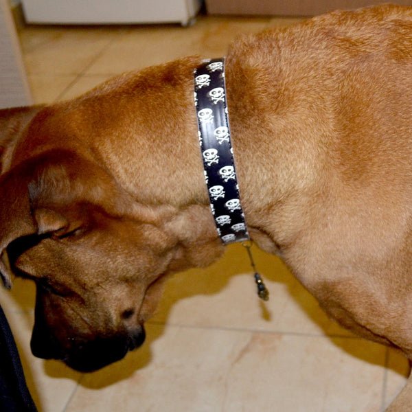 "Skull & Bones" Collar & Bracelet - ArgusCollar