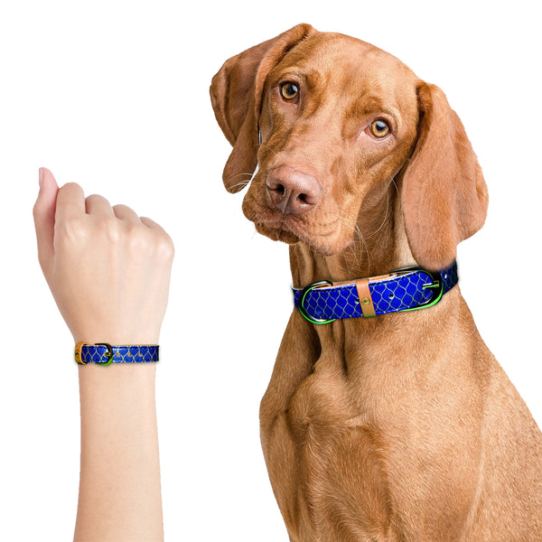 "Gentleman" Collar & Bracelet - ArgusCollar