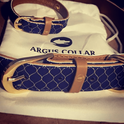 "Gentleman" Collar & Bracelet - ArgusCollar
