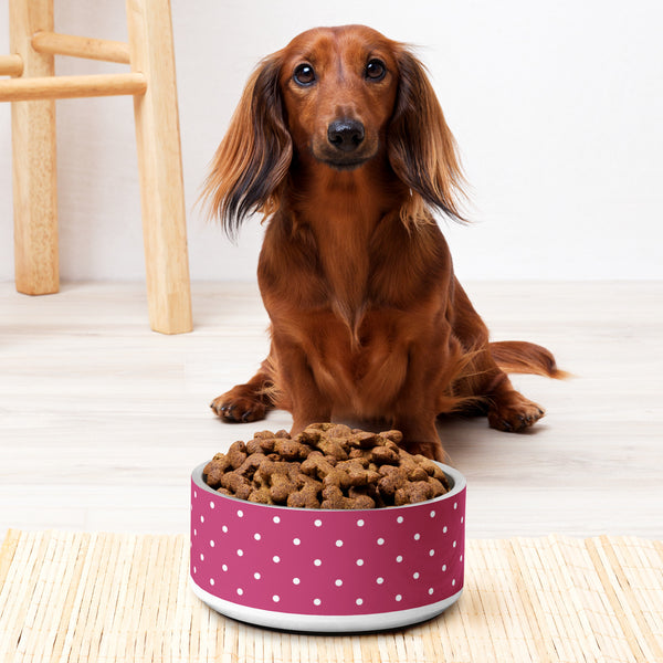 Pinky Dot Bowl - ArgusCollar