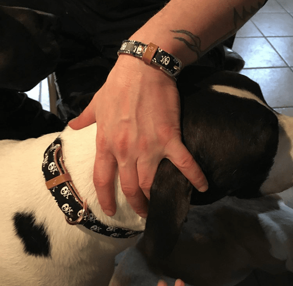 "Skull & Bones" Collar & Bracelet - ArgusCollar