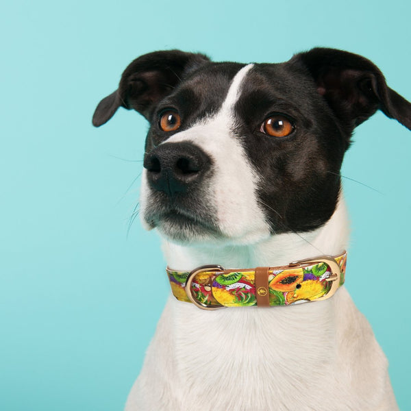 "Tutti i Frutti" Collar & Bracelet - ArgusCollar