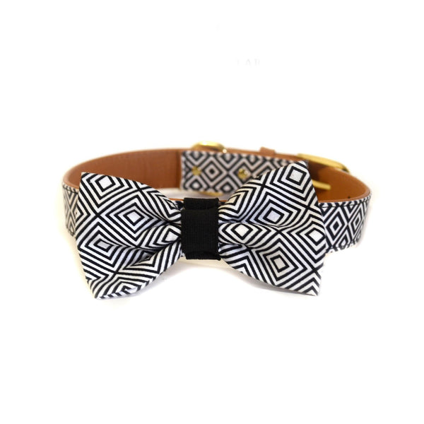 The "BW Squary" Dog Bow Tie - ArgusCollar