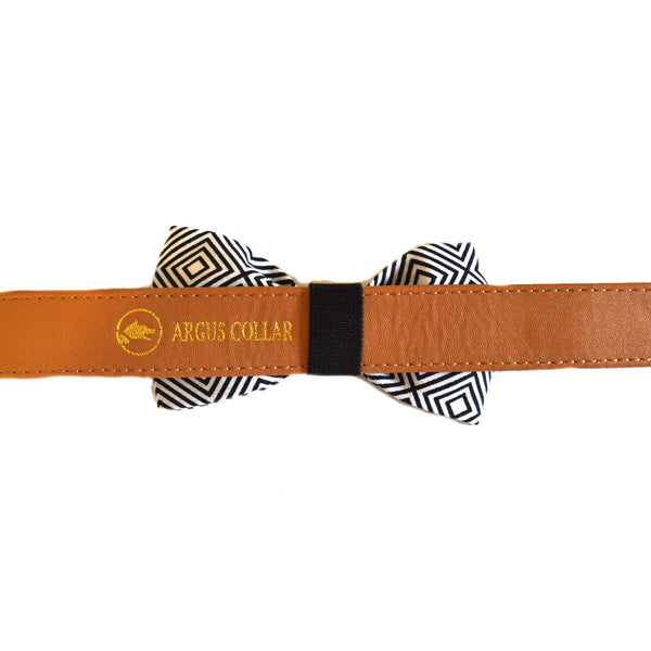 The "BW Squary" Dog Bow Tie - ArgusCollar