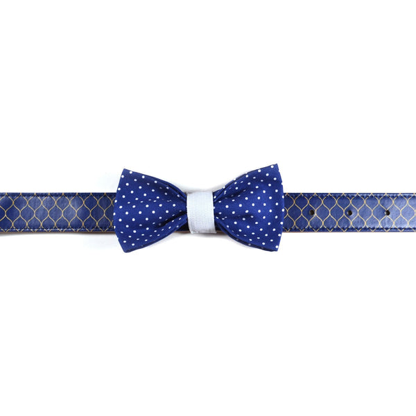 The "Blue Polka Dot" Dog Bow Tie - ArgusCollar