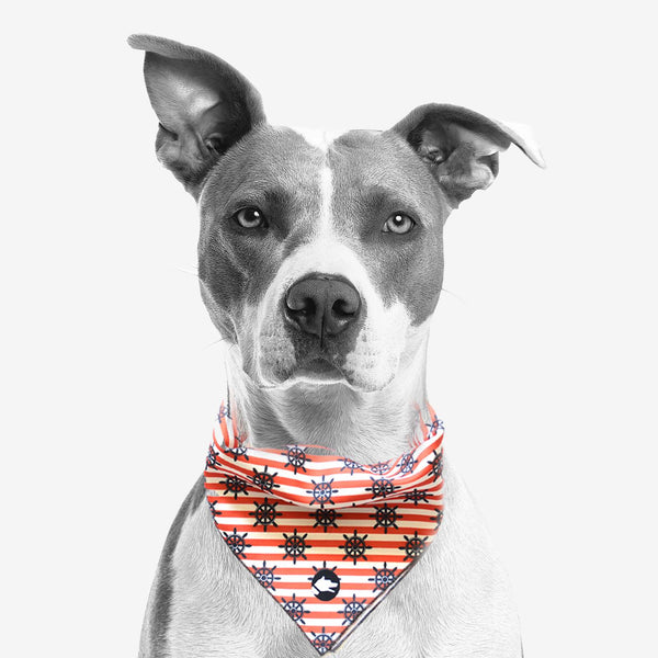 The "Nautical" Dog Bandana - ArgusCollar