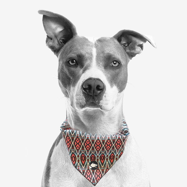 The "Boho" Dog Bandana - ArgusCollar
