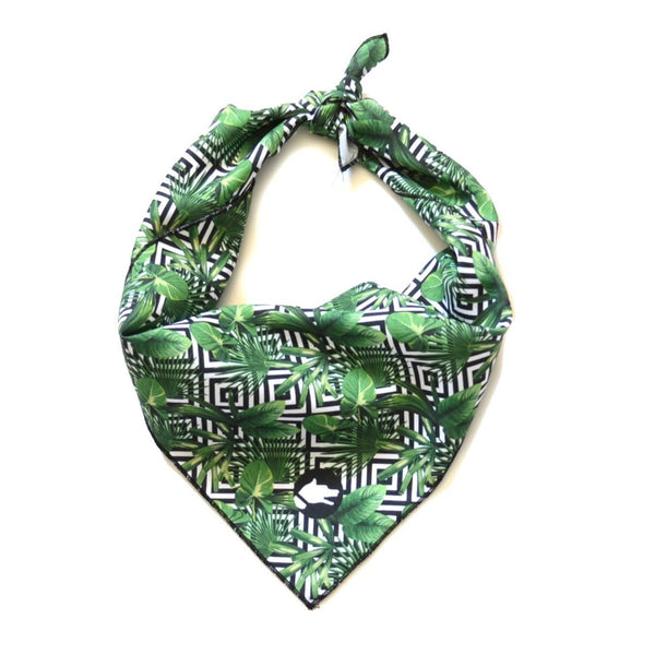 The "Palm Tree" Dog Bandana - ArgusCollar