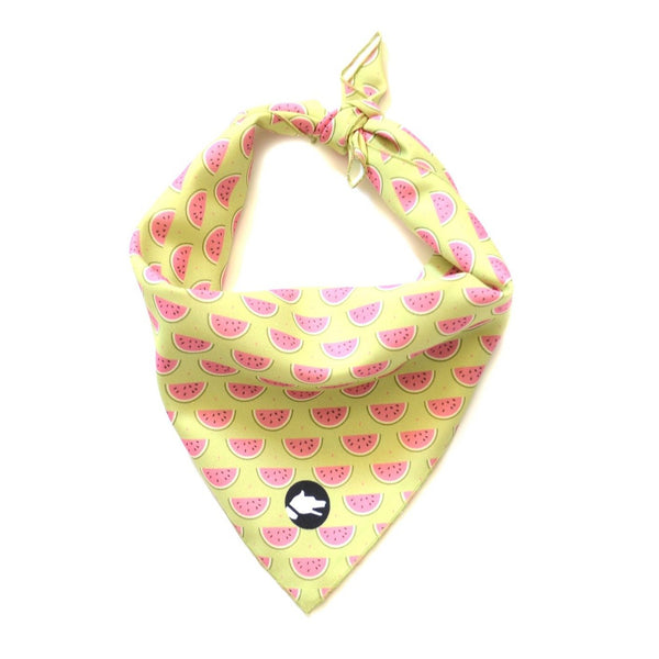 The "Watermelon" Dog Bandana - ArgusCollar