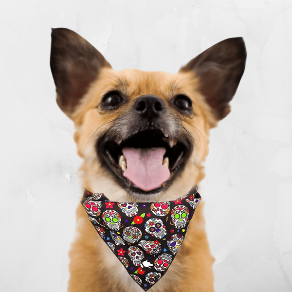 The "Happy Skull" Dog Bandana - ArgusCollar