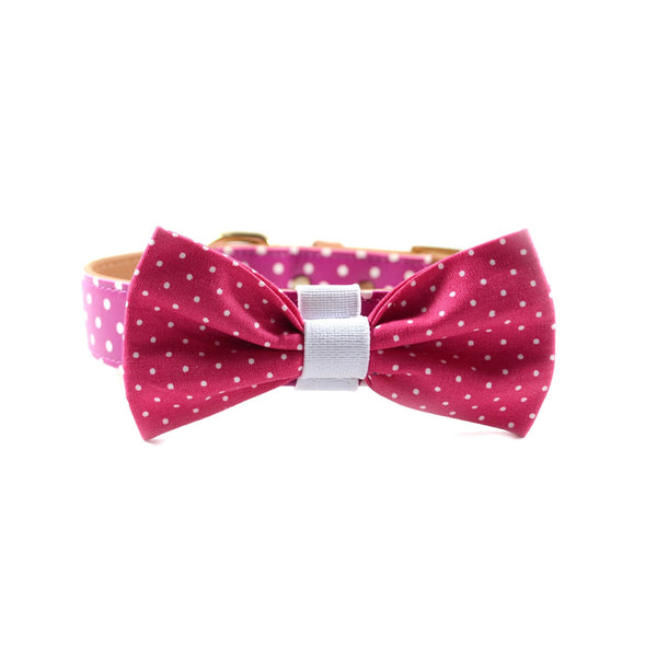 The "Pinky Dot" Dog Bow Tie - ArgusCollar