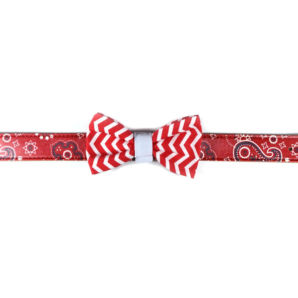 The "Red Chevron" Dog Bow Tie - ArgusCollar