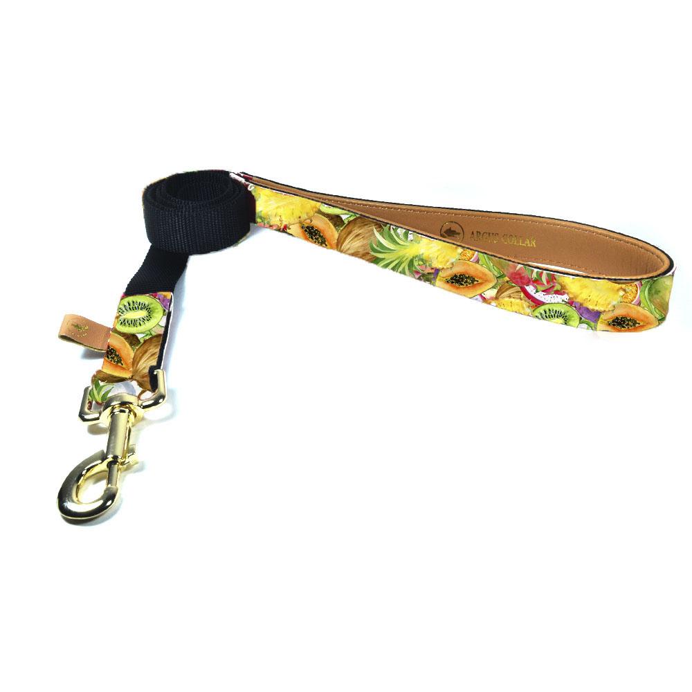 The "Tutti Frutti" Leash - ArgusCollar