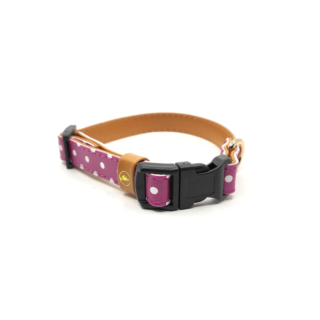 The "Pinky Dot" Cat Collar - ArgusCollar