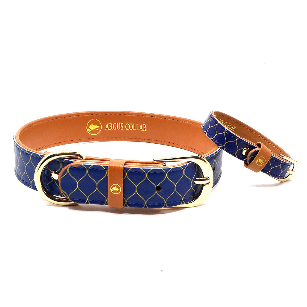 "Gentleman" Collar & Bracelet - ArgusCollar