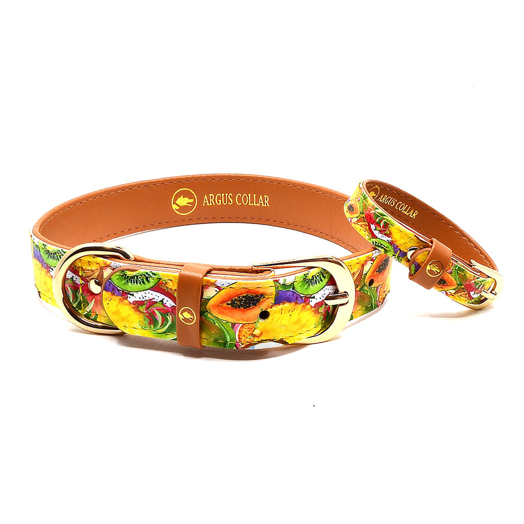 "Tutti i Frutti" Collar & Bracelet - ArgusCollar